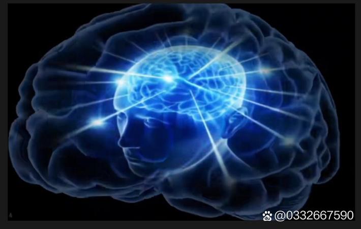 某综艺节目录制现场发生意外,嘉宾受伤送医